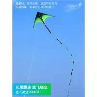 潍坊风筝大人专用大型号闪电客微风易飞中国风2021年新款型