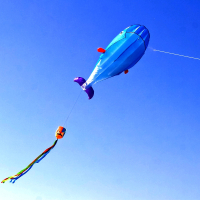 同飞翔风筝软体3D立体大闪电客大型大鲸鱼巨型大人2021年