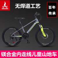 凤凰(PHOENIX)儿童自行车男孩女孩脚踏车202224寸双碟刹变速镁合金山地车