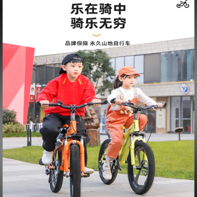 永久自行车儿童中大童6-8-10岁以上女孩变速山地车小学生男孩单车
