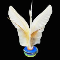 毽子比赛专用大人健身毽球儿童小学生腱子羽毛运动鸡毛毽子