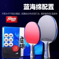 红双喜乒乓球拍天极蓝单拍1只蓝海绵省队专业成品拍横拍直拍礼盒