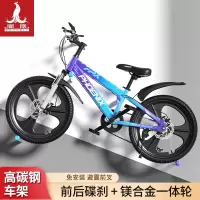 凤凰(PHOENIX)自行车6-8-10-15岁中大童男女孩20寸山地变速碟刹小学生