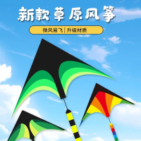 闪电客草原风筝大人专用儿童微风易飞潍坊成人大型高档大风筝