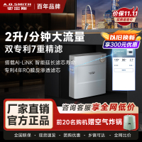 AO史密斯净水器家用专利4年RO膜反渗透滤芯 3:1高水效更省钱 2升/分钟厨下式直饮净水机R2000FWi-E