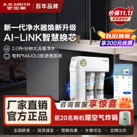史密斯净水器家用整机保5年 3:1高水效专利MAX3.0反渗透滤芯2升/分钟厨下式直饮净水机R2000HWi-E