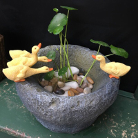 铜钱水培花盆复古多肉植物盆栽创意装饰盆景室内树脂小摆件田园动物小鸭子戏水 仿真石臼小鸭子盆栽