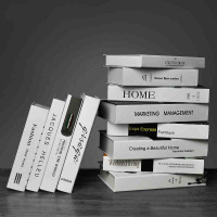 仿真书创意简约北欧纯白色假书现公室卧室装饰书柜服装店道具书摆件 【一套12本】