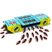 蟑螂贴10枚蟑螂屋灭蟑螂药家用强力灭蟑清捕捉器除杀蟑螂贴粉胶饵杀虫剂