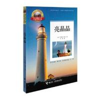 大奖儿童文学书系---亮晶晶