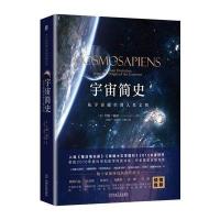 宇宙简史:从宇宙诞生到人类文明