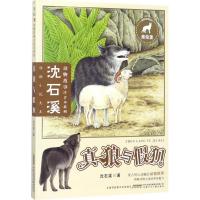 J 沈石溪动物故事注音本系列:真狼与假狈