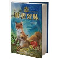 动物小说大王沈石溪 奇幻书系：狐狸兄妹