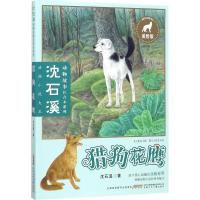 J 沈石溪动物故事注音本系列：猎狗花鹰
