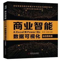 商业智能 从Excel到Power BI的数据可视化 动态图表篇