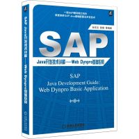 SAP Java开发技术详解——Web Dynpro基础应用