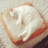 坐垫靠垫喵星人猫咪仿真面包型切片吐司面包形坐垫子靠垫