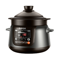苏泊尔（SUPOR）4升大容量中华炽陶电炖锅陶瓷预约煲汤锅电炖盅养生锅预约功能 TG40YC5-60