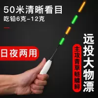 加粗物漂超醒目闪电客鱼漂巨物漂远投电子夜光漂日夜两用吃铅大青鱼鲤