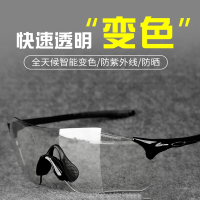 专业骑行眼镜闪电客变色男女户外跑步运动山地自行车防风沙眼镜