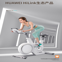 动感单车闪电客家用运动磁控健身自行车室内器材绝影CC