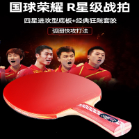 红双喜(DHS)乒乓球拍四星六星单拍5星6星兵乓球拍高级4星狂飚三专业级