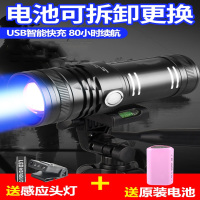 闪电客夜钓灯钓鱼灯紫光台钓超亮野钓大功率鱼灯蓝光电筒强光夜光激光炮
