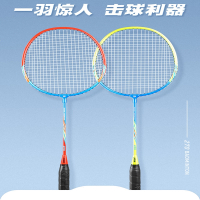 红双喜(DHS)羽毛球拍双拍全碳素专业羽毛球球拍女双拍套装