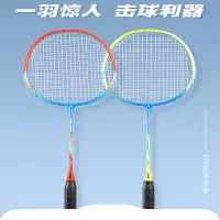 红双喜(DHS)羽毛球拍双拍全碳素专业羽毛球球拍女双拍套装