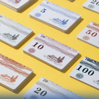 麻将筹码闪电客卡片筹码币麻将馆棋牌室打牌专用钱牌子套装塑料代币