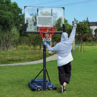 儿童投篮球架向向锦鲤可升降户外标准投篮球框室内可扣篮移动式篮球筐家用