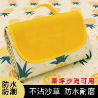 户外野餐垫闪电客防潮垫便携春游垫子加厚野外露营地垫草坪铺垫餐布