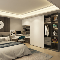 皮阿诺整体衣柜 定制衣柜衣帽间推拉门移门定做衣橱卧室开放式柜预防金