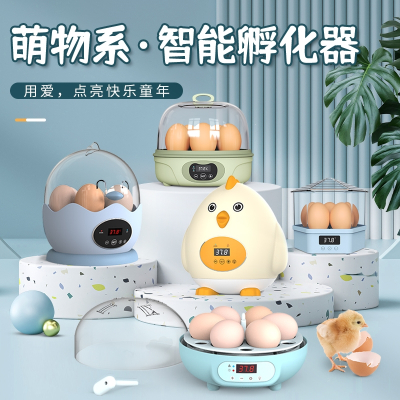 维谦(WEI QIAN)儿童孵蛋器鸟蛋孵化器小型家用迷你小鸡鹌鹑全自动智能孵化机工具