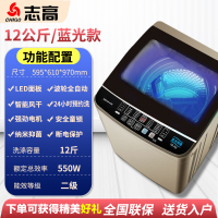 志高(CHIGO)洗衣机全自动家用波轮宿舍单人小型迷你婴儿洗烘一体 12公斤蓝光风干款