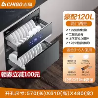 志高(CHIGO)嵌入式柜家用小型厨房多功能三层120L大容量高温碗柜 豪配①②⓪升两层