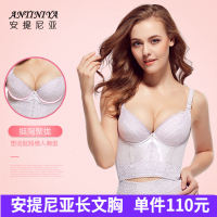 安提尼亚身材管理器塑身衣美体内衣聚拢调整型大码正品长文胸