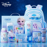 迪士尼(DISNEY)冰雪奇缘文具礼盒套装女孩一二三年级小学生学习用品儿童爱莎开学大礼包电动