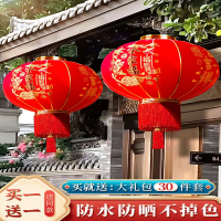 大红灯笼新款大门口一对过年挂饰户外春节2024挂件新年装饰 龙