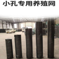 东映之画铁丝网围栏网小孔养殖网硬塑栅栏钢丝网荷兰网隔离网护栏网防护网