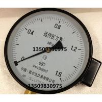 中国雷尔达电阻远传压力表YTZ-150(接线盒)配变频器使用全规格