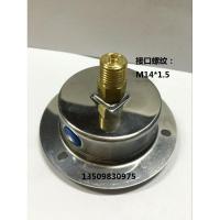 上海天湖YN-60ZT 0-25MPA轴向带边耐震压力表 液压油压 抗震防震