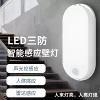 LED智能红外人体三防壁灯户外楼梯过道走廊雷达声光控感应灯