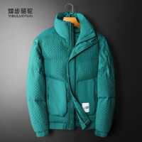 熠步骆驼男外套白鸭绒冬季羽绒衣 男士高端立领羽绒服 短款保暖外衣