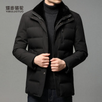 熠步骆驼男商务羽绒服男短款毛领翻领90白鸭绒羽绒外套爸爸装中老年