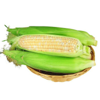 云南水果玉米 5斤装 新鲜果蔬 陈小四水果 其他 国产蔬菜