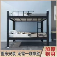 上下铺铁床0.9米1.5米宽高低床员工法耐宿舍公寓床工地双人床铁床双层