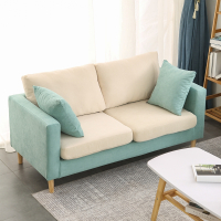 北欧简约现代布艺沙发法耐小客厅双人出租房小型小户型三人简易网红款