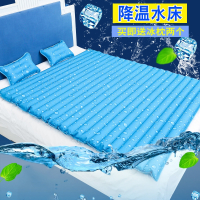 水床冰垫床垫水垫法耐枕头冰凉宿舍夏天水席袋床上单人水床垫双人