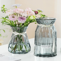 法耐(FANAI)二件套北欧居家装饰玻璃花瓶透明水养富贵竹百合客厅插花摆件